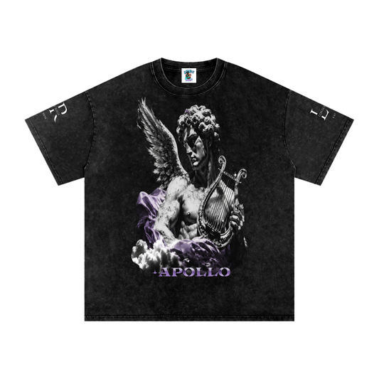 Snow Washed Oversized Cotton T-Shirt Apollo Limited Edition